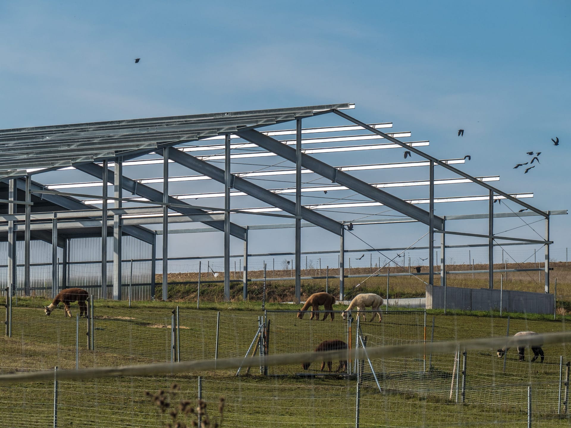 Agricultural Steel Buildings in Nampa - Treasure Valley Steel Buildings